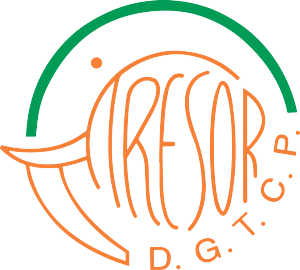 DIRECTION GENERALE DU TRESOR ET DE LA COMPTABILITE PUBLIQUE
